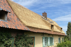 france005